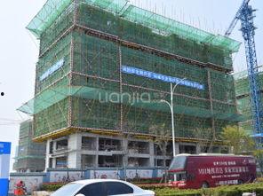 碧桂园爆料最新消息青岛,揭秘未来城市生活新篇章”  第3张